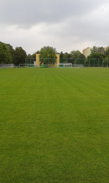 Fotbalové hřiště v ZŠ MUDr. Emílie Lukášové a Klegova