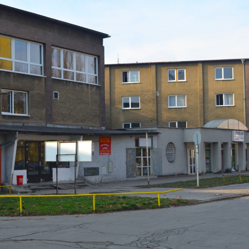 Analýza spol. problémů v ubytovně Soiva