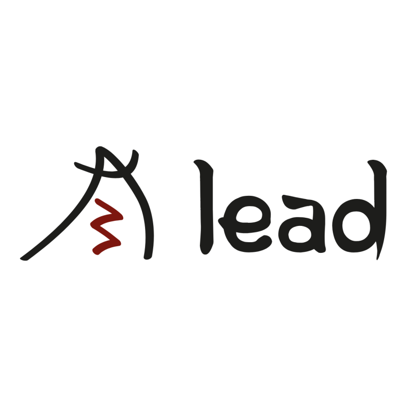 ADD lead, z.s.