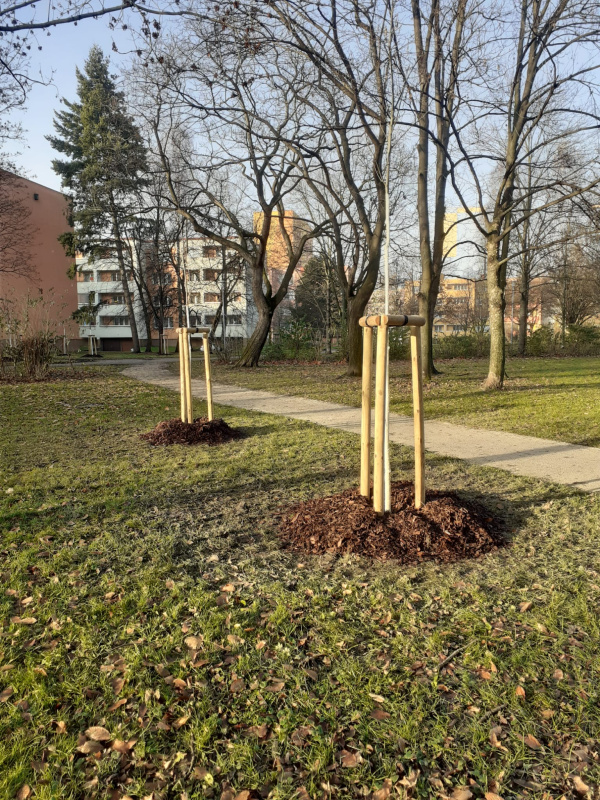Rekonstrukce parkové zeleně v městském obvodu Ostrava-Jih